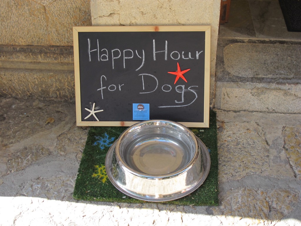 happyhour4dogs