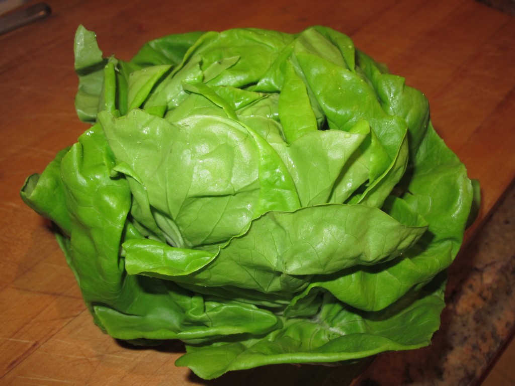 lettucewraps7